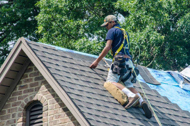Best Roof Gutter Cleaning  in Dobson, NC